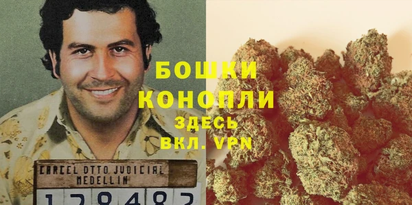 индика Волосово