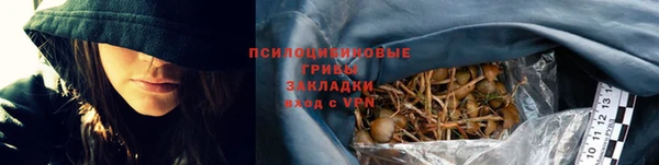 индика Волосово