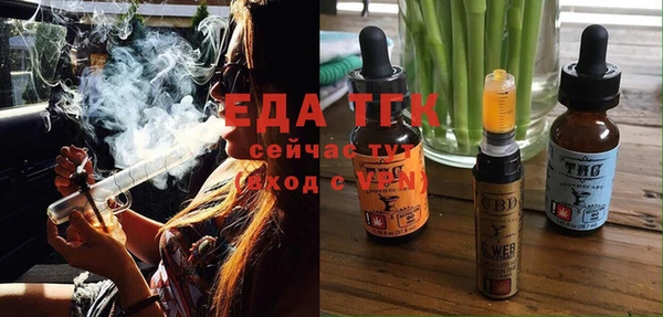 индика Волосово