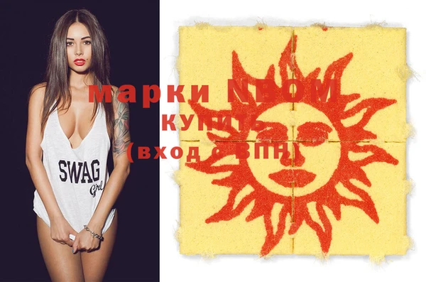 индика Волосово