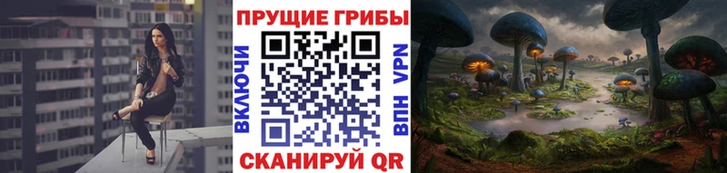 Псилоцибиновые грибы Psilocybine cubensis  Купить закладки  Поронайск 
